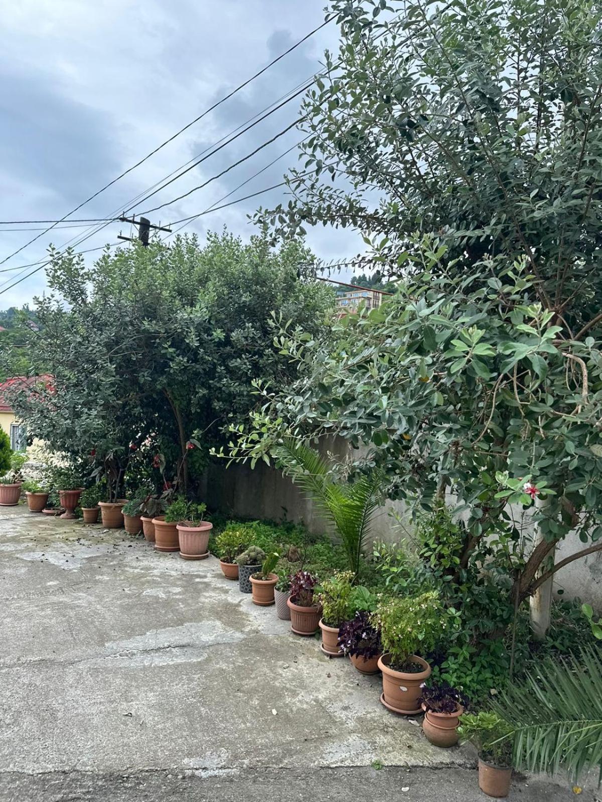 Shamil House ξενώνας Makhinjauri Εξωτερικό φωτογραφία
