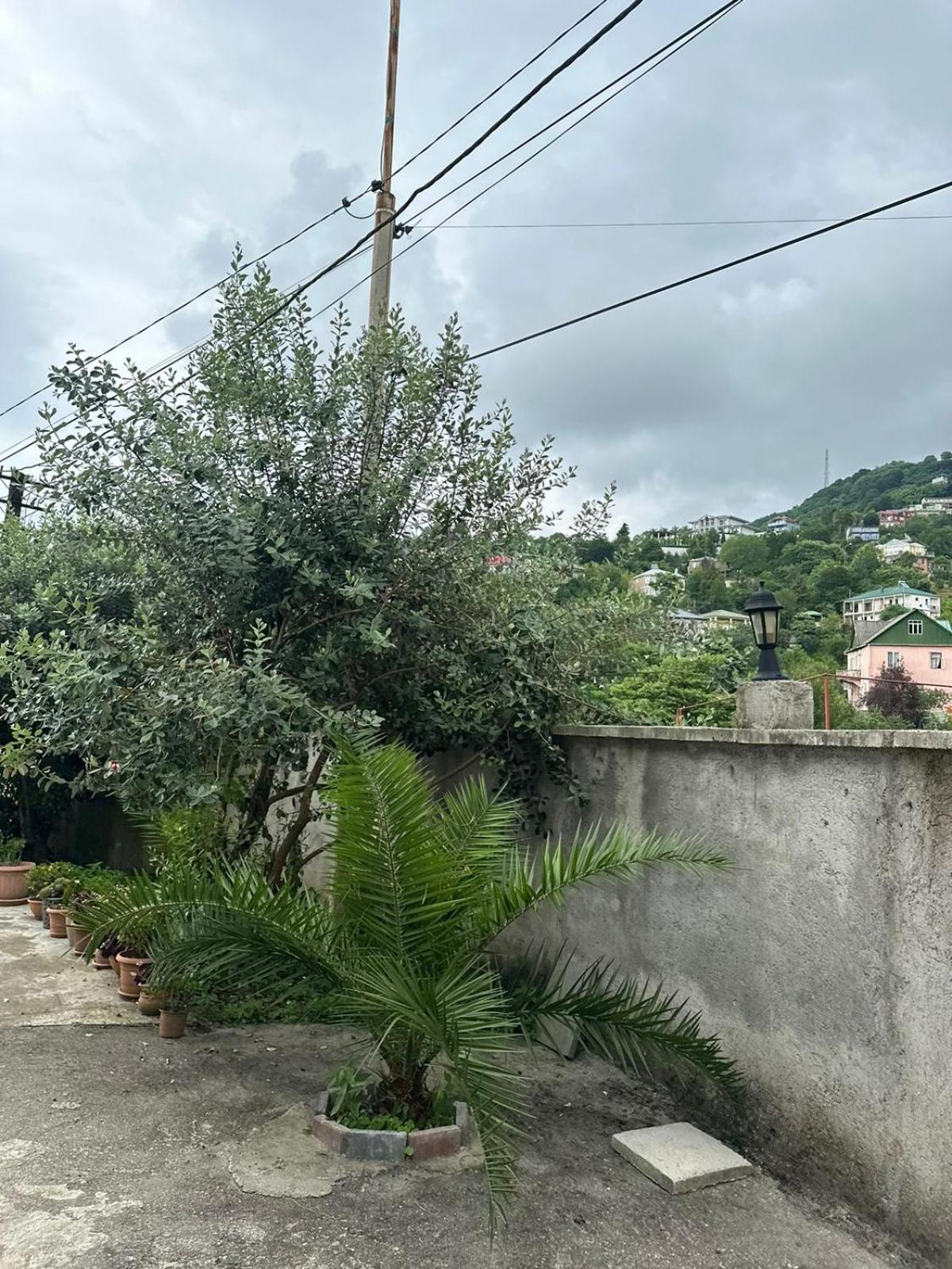 Shamil House ξενώνας Makhinjauri Εξωτερικό φωτογραφία