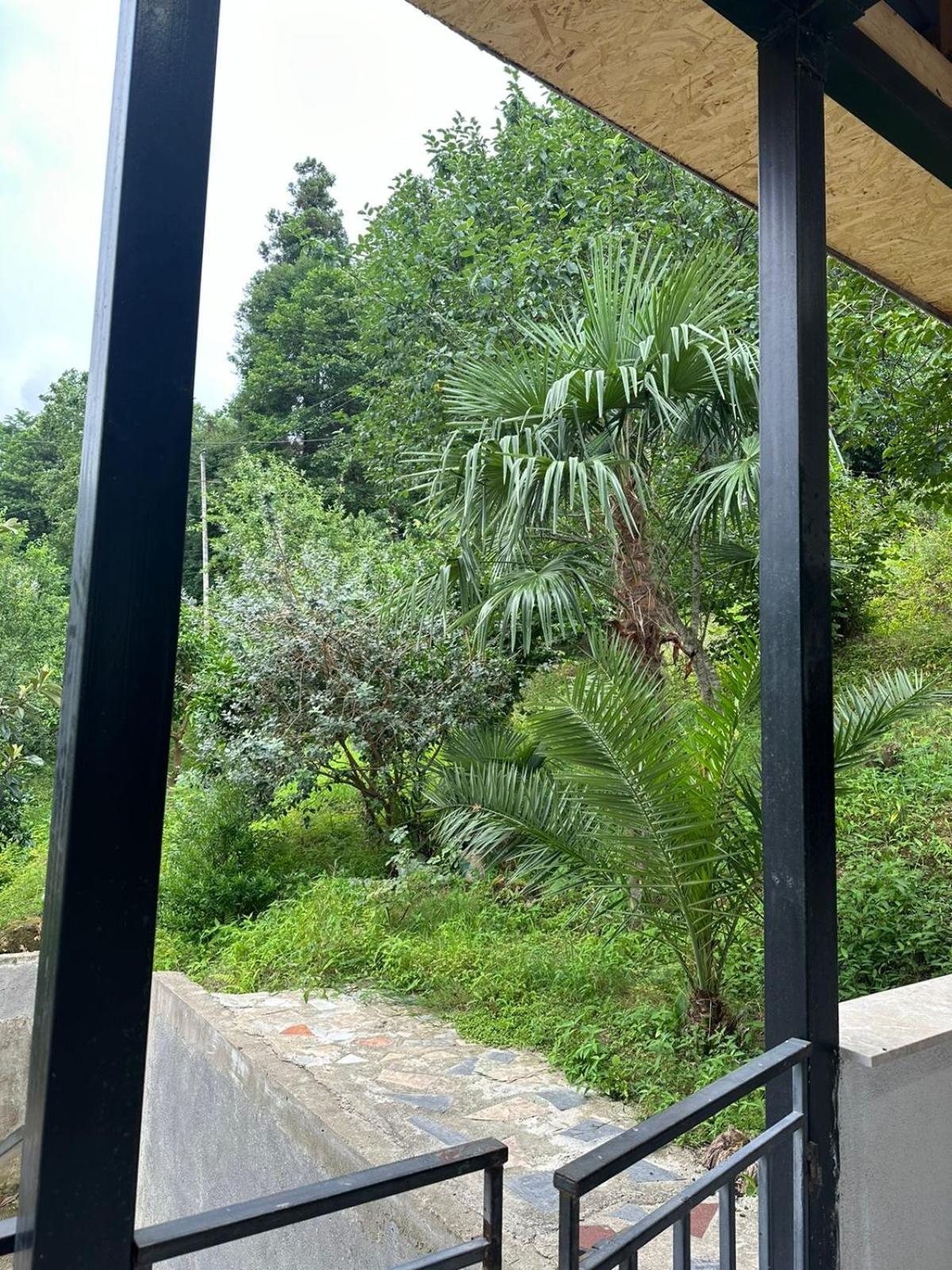 Shamil House ξενώνας Makhinjauri Εξωτερικό φωτογραφία